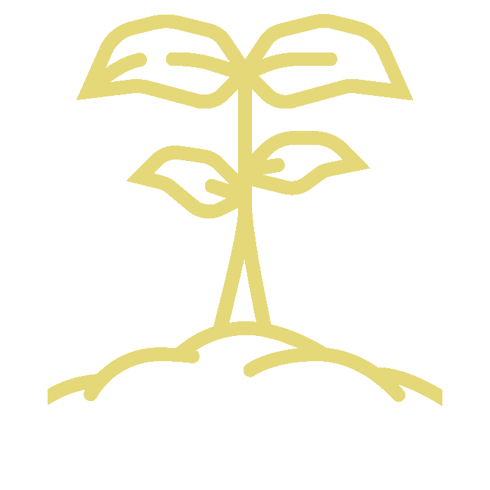 Cura per l'ambiente